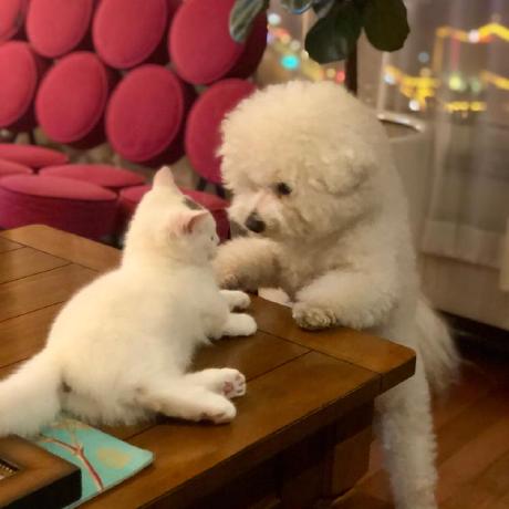 Using Persistent History Tracking In Coredata - Premium High Resolution City Photos | Free Download