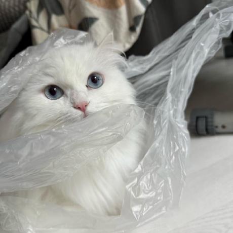 Github Krewsarchive Custom Wired - Download Beautiful Landscape Picture | Retina