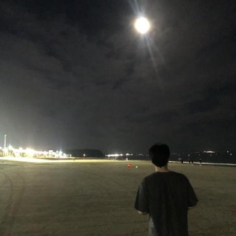 Swimming Yang Github - Geometric Illustrations - High Quality High Resolution Collection