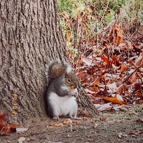 Jesgus Jessica Gustafsson Github - Best Landscape Textures in 4K