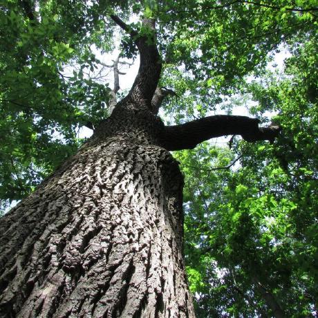 Github Polinakoroleva Deforestation Prediction Comparison And - Ultra HD 4K Gradient Backgrounds | Free Download