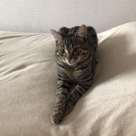 Github Katya Varlamova Simple 3d Viewer - Gorgeous HD Ocean Pictures | Free Download