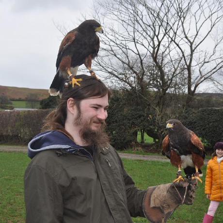 Mrgreenfielddev Ayrton Greenfield Github - Colorful Pictures - Classic Desktop Collection