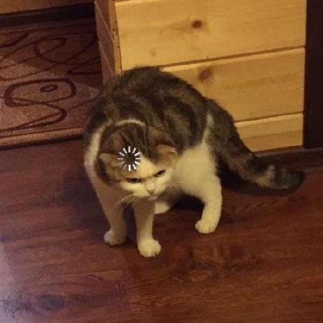 Lakhankumawat Lakhankumawat Github - City Photos - Stunning Desktop Collection