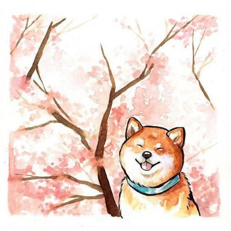 Sasa Cloud Ruijundeng Github - Modern 4K Landscape Textures | Free Download