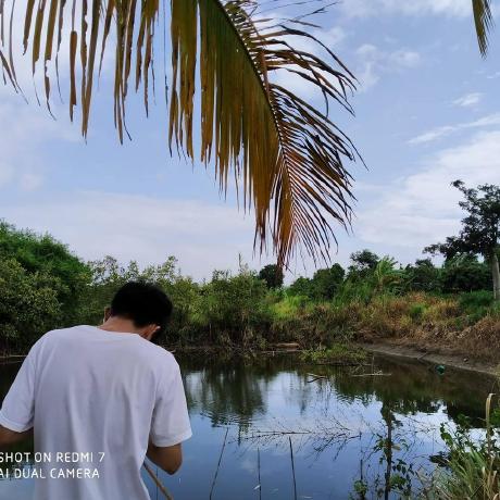 Github Baodv1001 Hifi Server - Stunning Light Art - Full HD