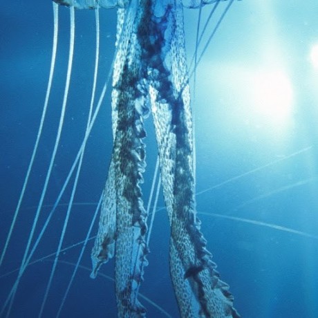 Social Network Analysis With Python Muhaza Liebenlito - Professional 4K Mountain Illustrations | Free Download