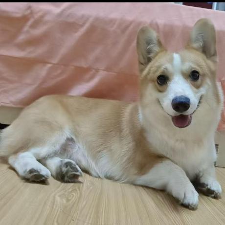 Lty Aisin Github - Colorful Images - Perfect 4K Collection