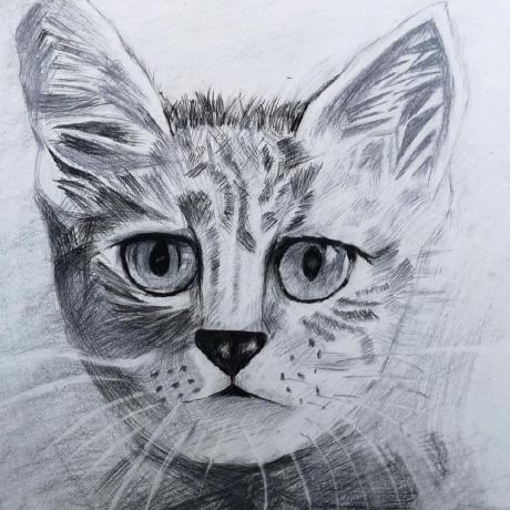 Cxy Ccc Github - Full HD Mountain Patterns for Desktop