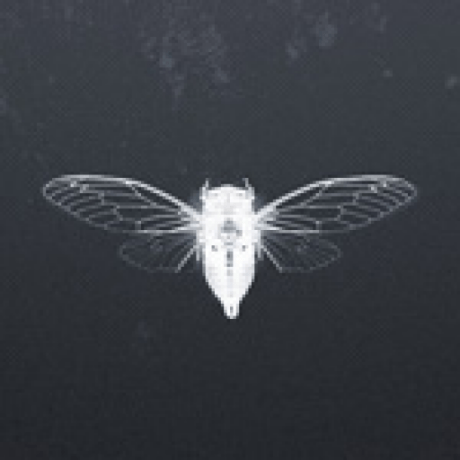 Sigcatta Luca Cattani Github - Nature Image Collection - 4K Quality