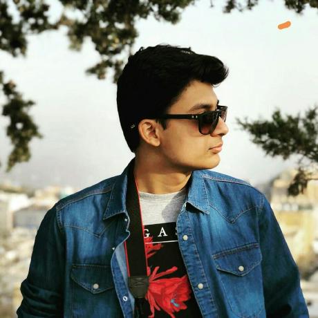 Irfanalimd Mohammed Irfan Ali Github - Premium Landscape Design Gallery - 4K