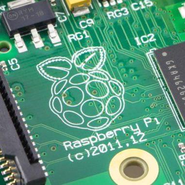 Github Pixelbuilds Releases Rosemary Old - Premium Geometric Illustration Gallery - HD