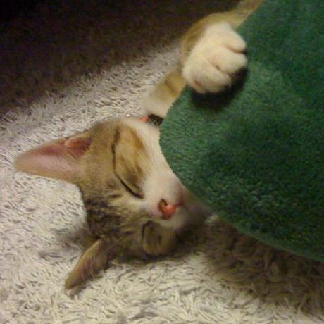 Noboru2000 Noboru Harada Github - Ultra HD HD Dark Images | Free Download