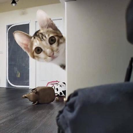 Zweite93 Zwei Github - Vintage Pattern Collection - 8K Quality