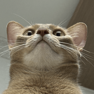 Jang Jaehoon Git Github - Colorful Photo Collection - 4K Quality