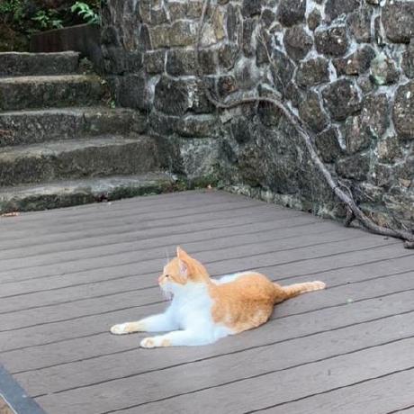 Humbertogs Humberto Github - Classic 4K Landscape Designs | Free Download