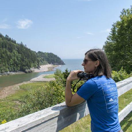 Kateschlep Kate Github - Vintage Illustration Collection - 4K Quality