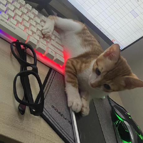 Rivens7 Riven Github - Ultra HD Space Textures for Desktop