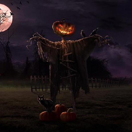 Unknown Github Topics Github - Nature Picture Collection - 8K Quality