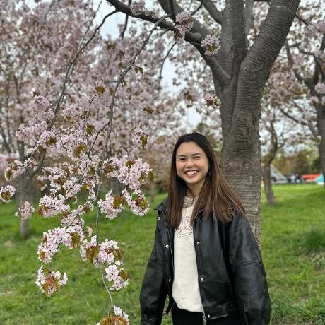 Cheryl San Github - Professional Retina Light Textures | Free Download