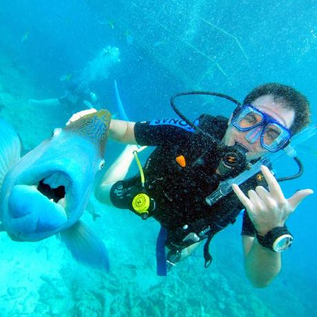 Timothy Flynn Github - Full HD Nature Arts for Desktop