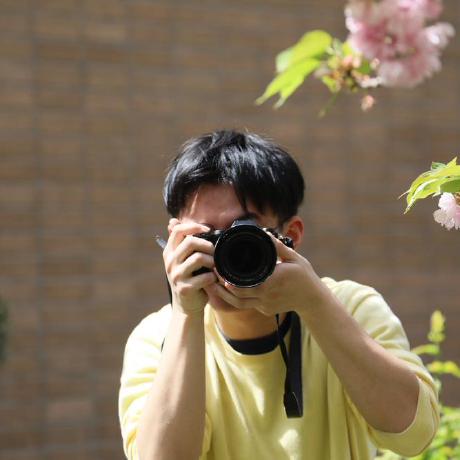 Junxiang Li Junxiang Li Github - Landscape Picture Collection - 4K Quality