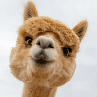 Roman Bit Roman Github - High Resolution Light Designs for Desktop