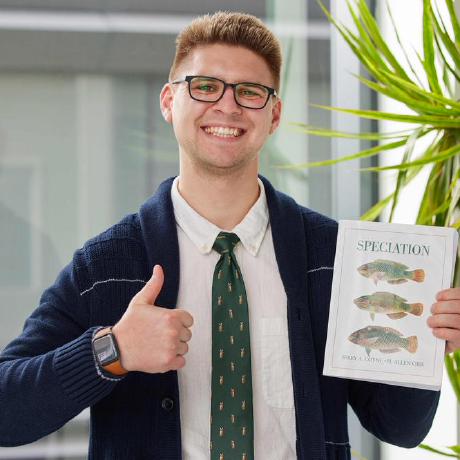 Github David Peede Anc Der Intro Proj - Professional Ultra HD Sunset Backgrounds | Free Download