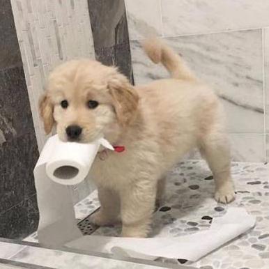 Mahui Mahui Github - 8K Geometric Illustrations for Desktop