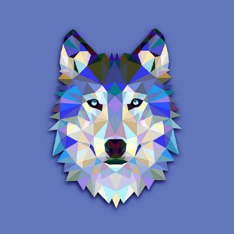 Shiv Patel 24 Shiv Patel Github - City Designs - Professional Desktop Collection