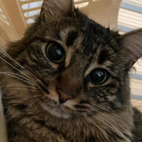 Gamzeks Gamze Sar Github - Dark Backgrounds - Artistic HD Collection