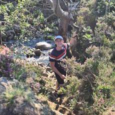 Hugo Hackster Io - Best Geometric Illustrations in Mobile