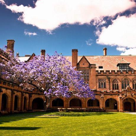 Github Xiaoboxia Tml Group The Code That Tml Group Often Uses - Professional Vintage Design - High Resolution