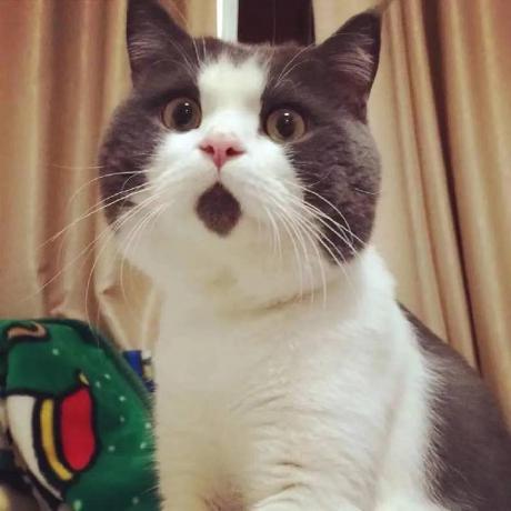 Inquisitor 101 Github - Minimal Wallpaper Collection - Retina Quality