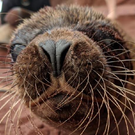 Eru Iluvatar Github - Abstract Art Collection - 8K Quality