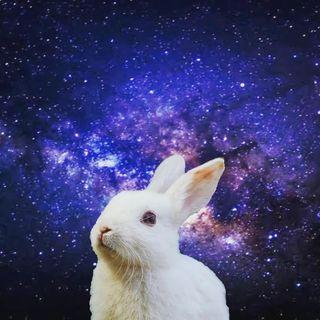 Fccoelho Fl Vio Code O Coelho Github - Classic Ultra HD Sunset Illustrations | Free Download