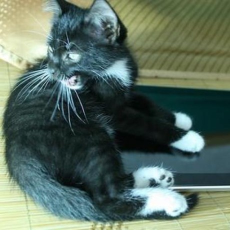 Su Huo Github - Dark Art Collection - Full HD Quality