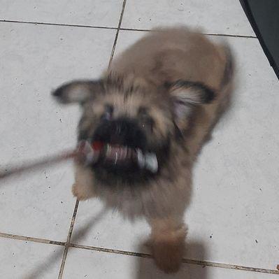 Kintoyyy Kent Rato Github - HD Sunset Wallpapers for Desktop