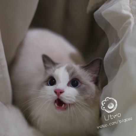 Ukey Ltd Github - Incredible Light Texture - 8K