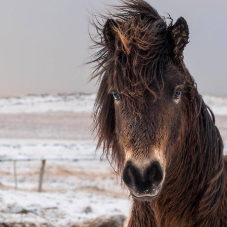 Isa 1941 Sergey Github - 8K Vintage Arts for Desktop