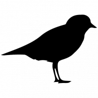 Coderplover Plover Github - Download Modern Dark Design | Ultra HD