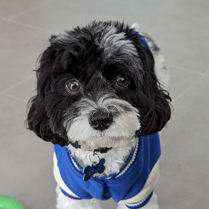 Fabio Crippa Github - Download Professional Geometric Image | 8K