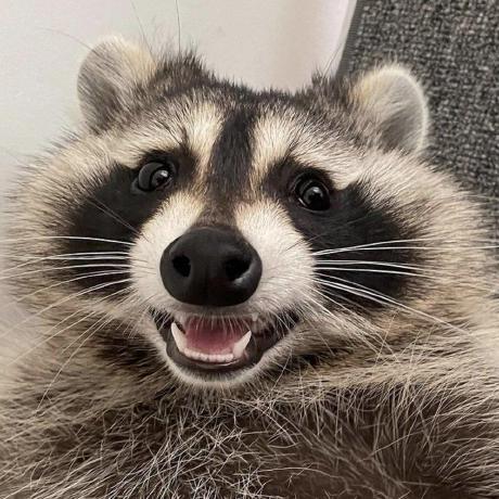 Github Daku On Py Train - Incredible Mobile Landscape Photos | Free Download