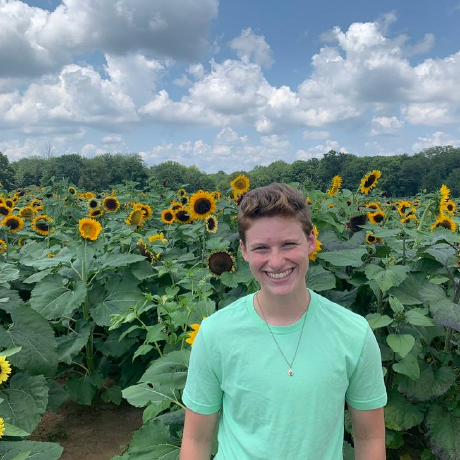 Jasoc Paride Giunta Github - 4K Light Wallpapers for Desktop