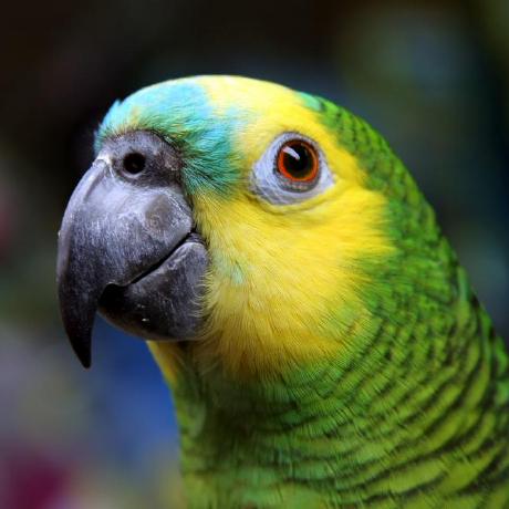 Github Dimitrisokolowskei Scscripts - Best Sunset Textures in HD