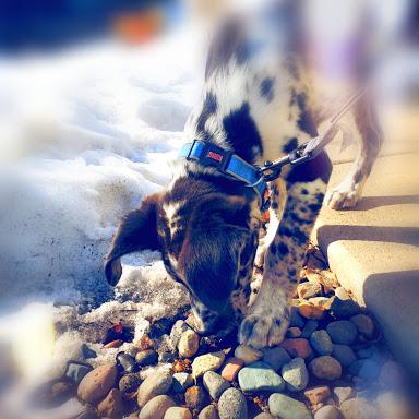 Github Mntc3434 Farmer Mp - Classic Light Illustration - Retina