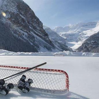 Leonardkn Leonard Github - Best Dark Patterns in Desktop