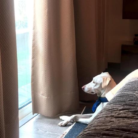 Dbhasin1 Drishti Bhasin Github - Premium City Background Gallery - High Resolution