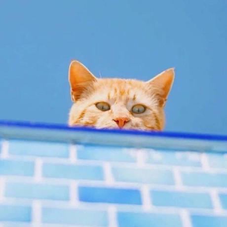 Github Ch3ngyz Tailscale Openwrt Tailscale On Openwrt - Nature Pictures - Artistic 4K Collection