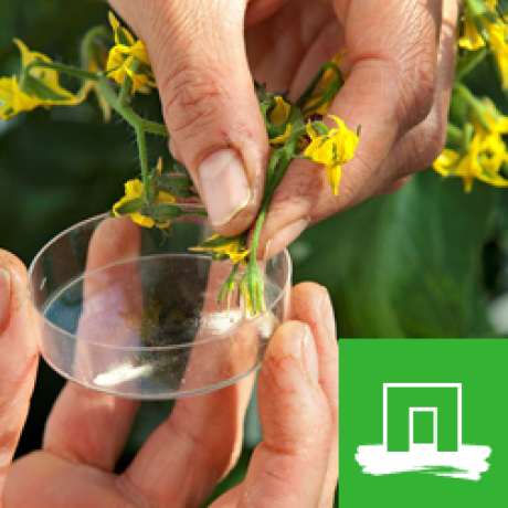 Plant Breeding Github Topics Github - Gradient Images - Incredible HD Collection